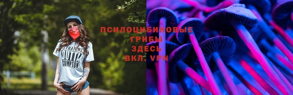 таблы Арсеньев