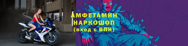 ГАЛЛЮЦИНОГЕННЫЕ ГРИБЫ Аркадак