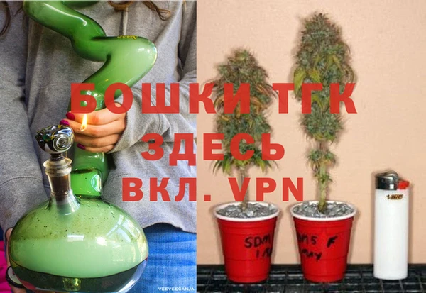 ГАЛЛЮЦИНОГЕННЫЕ ГРИБЫ Аркадак