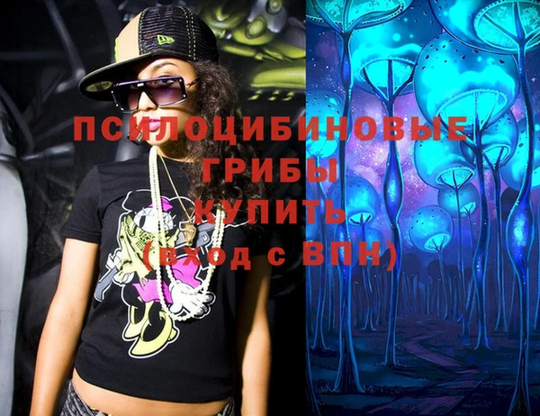 ГАЛЛЮЦИНОГЕННЫЕ ГРИБЫ Аркадак