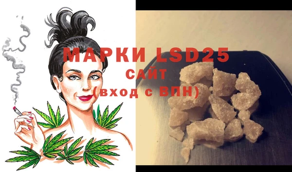 ГАЛЛЮЦИНОГЕННЫЕ ГРИБЫ Аркадак