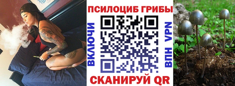 Псилоцибиновые грибы ЛСД  Полярные Зори 
